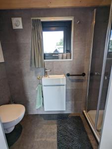 ein Bad mit einem WC, einem Waschbecken und einer Dusche in der Unterkunft Klavertje 4 in Middelaar
