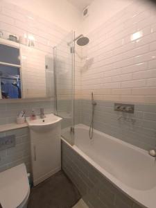 a bathroom with a shower and a sink and a toilet at Charming luxury 1 bed apartment in London