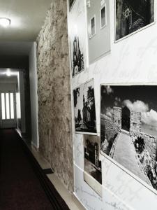 Fotografie z fotogalerie ubytování Apartments Bokan v destinaci Cetinje