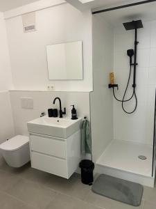 uma casa de banho com um lavatório, um WC e um chuveiro em Bayern Lodge München em Munique