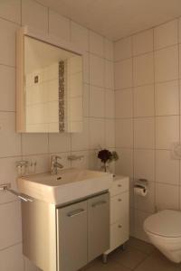 een badkamer met een wastafel en een toilet bij Appartement de vacances in Saulcy
