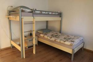 1 Schlafzimmer mit 2 Etagenbetten in einem Zimmer in der Unterkunft Appartement de vacances in Saulcy