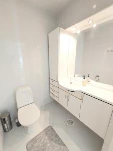 Vonios kambarys apgyvendinimo įstaigoje Paritalohuoneisto, semi-detached house