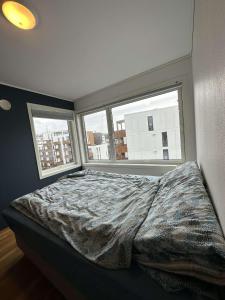 a bedroom with a bed and two windows at Seaside panorama in Tromsø