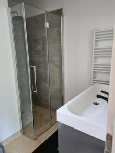 uma casa de banho com um chuveiro e um lavatório branco em Maison en plein nature em Villemus