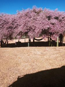 Giardino di Village Recanto Splendory - Sítio com lazer completo e privativo perto de BH