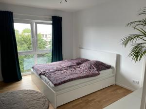 een slaapkamer met een bed en een raam bij Wohlfühlen im Herzen von Wunstorf, 10min zum Meer in Wunstorf