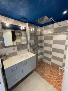 uma casa de banho com um lavatório e um chuveiro em Duplex 80m2 à 5mins de la plage em Le Lavandou