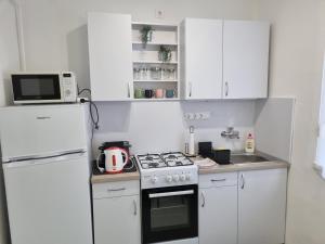Kuchyň nebo kuchyňský kout v ubytování Barcika Apartman