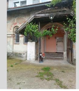 a dog standing in front of a building at Maravilja 2 in Filmski Grad