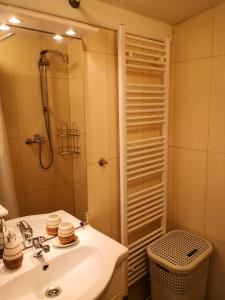 een badkamer met een wastafel en een douche bij Apartment Bistrik 1 in Sarajevo