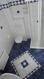 ein Bad mit einem WC und blauen und weißen Fliesen in der Unterkunft Haus Dekorso in Dorfgastein