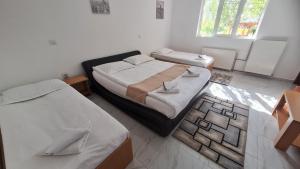 a bedroom with two beds and a window at Pensiune Runcu Stone in Runcu