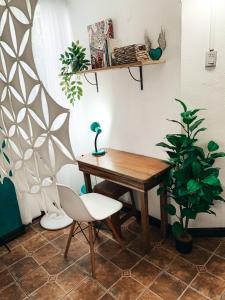 escritorio y silla con lámpara y planta en Casa Selva, en Cabuya