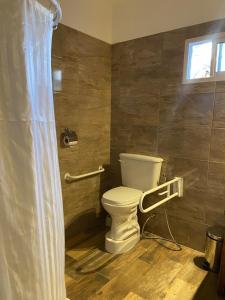 a bathroom with a toilet and a shower curtain at Grateus Luxury Apart & Spa in Villa General Belgrano