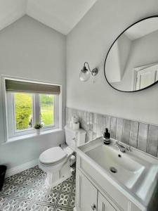 a bathroom with a toilet and a sink and a mirror at The Old Vicarage - sleeps 20 in Kettleburgh