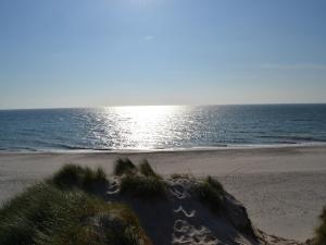 Foto dalla galleria di Søndervig Camping & Cottages a Søndervig