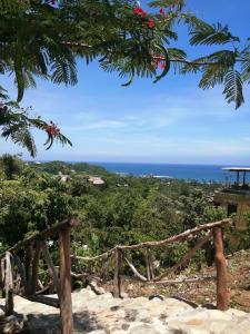 una vista del océano desde la cima de una colina en HOTEL AVE FENIX, en Mazunte