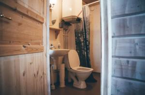 La petite salle de bains est pourvue de toilettes et d'un lavabo. dans l'établissement Mellanströms Stugby, à Arjeplog