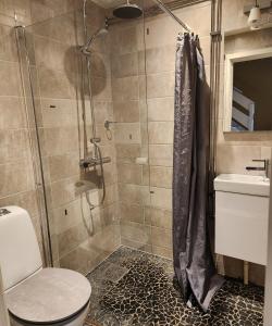 e bagno con doccia, servizi igienici e lavandino. di Aparthouse OSLO a Oslo