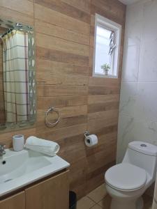 baño con aseo y lavabo y ventana en CASA EQUIPADA LAGO RANCO, en Lago Ranco