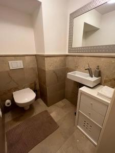 ein Badezimmer mit einem WC, einem Waschbecken und einem Spiegel in der Unterkunft Palais am Kai - Zentrale Lage, Kostenloser Parkplatz in Salzburg