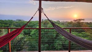 a hammock with a view of a forest at La Casita del Bosque in Santa Marta