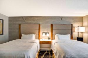 Homewood Suites by Hilton Chicago-Downtown客房内的一张或多张床位
