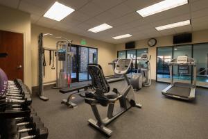 a gym with treadmills and machines in a building at Hampton Inn & Suites Colorado Springs-Air Force Academy/I-25 North in Colorado Springs
