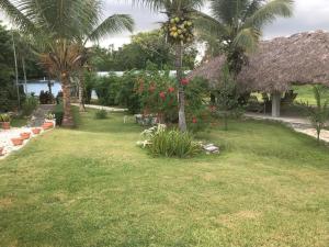un patio con palmeras y una casa con flores en Sergio Romano en Boca Chica
