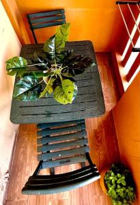 un tavolo in legno con piante all'ultimo piano di Ultra Luxury 1BR in Gueliz a Marrakech