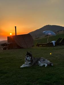 Paesaggio naturale nelle vicinanze della casa vacanze