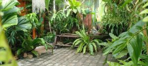 un jardin avec des plantes et une table au milieu dans l'établissement ouychai resort home stay, à Chiang Mai