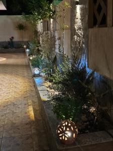 a garden with plants and lights on the side of a building at Villa Silia in Sharm El Sheikh