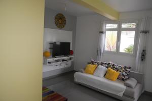 uma sala de estar com um sofá e uma televisão em Le colibri voyageur em Sans Pareil