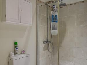 a shower stall in a bathroom with a toilet at Kingsway Apartment in Langstone