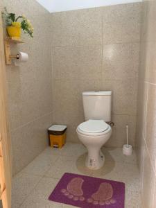 a bathroom with a toilet and a purple rug at Ecocampingdage in Catimbau