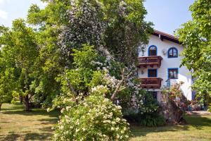 Κήπος έξω από το Ferienwohnung Moierhof