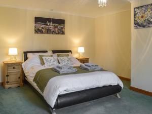 a bedroom with a bed with two night stands and two lamps at Penrhiw Meredith in Llanfynydd