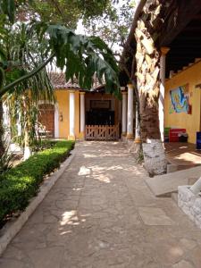 a walkway in front of a building with a tree at Rossco Backpackers Hostel in San Cristóbal de Las Casas