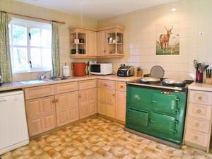 een keuken met een groene kachel en een wastafel bij Dhuallow in Aberarder