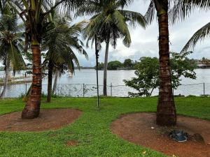 een groep palmbomen naast een waterlichaam bij Bolgoda Lake Villa in Moratuwa