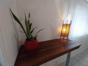 une plante en pot assise sur une table en bois avec une lumière dans l'établissement Leili Home - Papeete, à Papeete