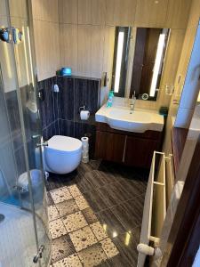 a bathroom with a toilet and a sink and a shower at Chata Sofie in Dolní Moravice