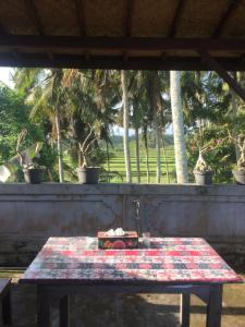 Ein Garten an der Unterkunft Kenari House