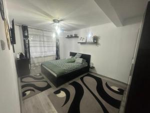 - une chambre avec un lit dans l'angle dans l'établissement Apartament Maria, à Băile Govora
