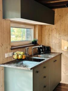 a kitchen with a sink and a counter top at Bird nest in Undva
