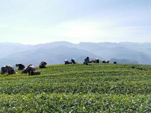 Paesaggio naturale nelle vicinanze dell'affittacamere