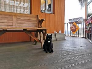 Ospiti di A-Li A-Li Homestay con animali domestici