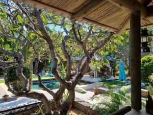 Сад в Shanti Ghar Guest House